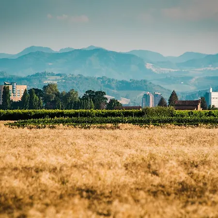 Podere Zampiera Vecchia