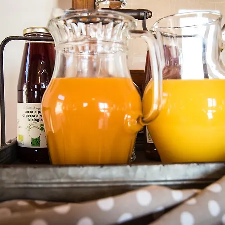 Podere Zampiera Vecchia Κατάλυμα σε φάρμα