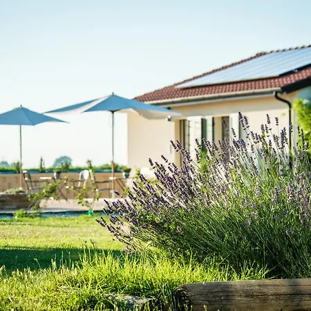 Farm stay Podere Zampiera Vecchia