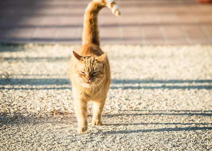 Podere Zampiera Vecchia Bauernhof *